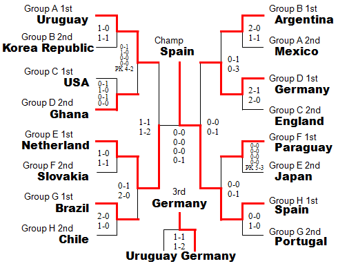 2010 World Cup: Final Tournament