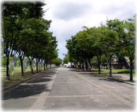 �{��̓�������X�^�W�A���ɒʂ���X�g���[�g�B�E�����㋣�Z��A���͖{��O�����h�B